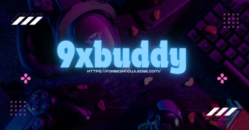 How to Use 9xbuddy for Downloading Online Videos